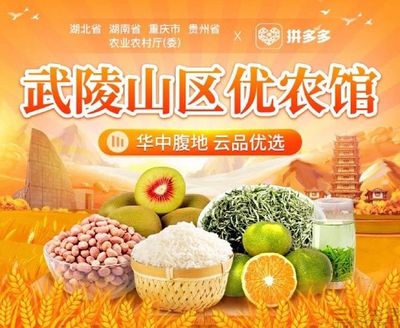 拼多多上線(xiàn)“武陵山區(qū)優(yōu)農(nóng)館”，助力食用農(nóng)產(chǎn)品上行與鄉(xiāng)村振興